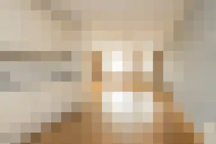 Ter Beek 6 Lisse thumbnail 12