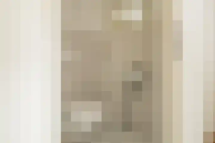 Ter Beek 6 Lisse thumbnail 13