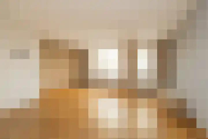 Ter Beek 6 Lisse thumbnail 14