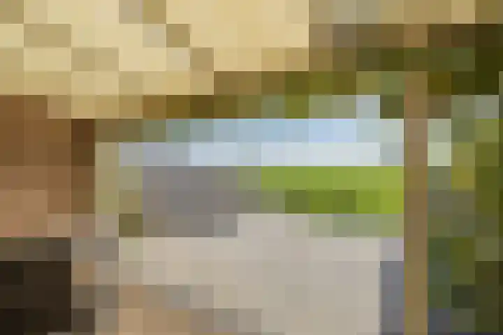 Ter Beek 6 Lisse thumbnail 15