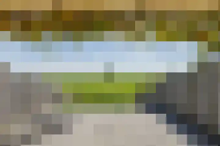 Ter Beek 6 Lisse thumbnail 16