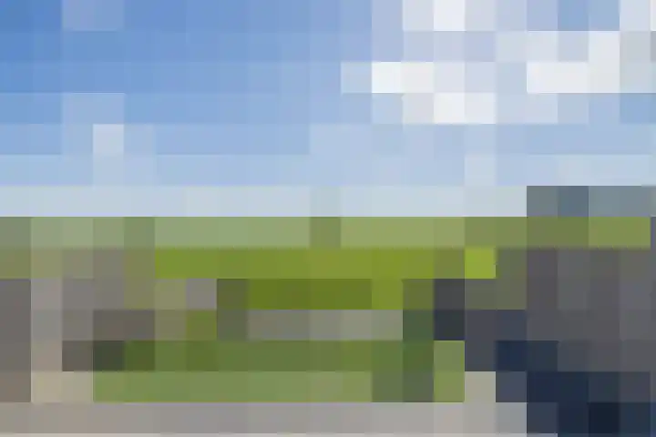 Ter Beek 6 Lisse thumbnail 17