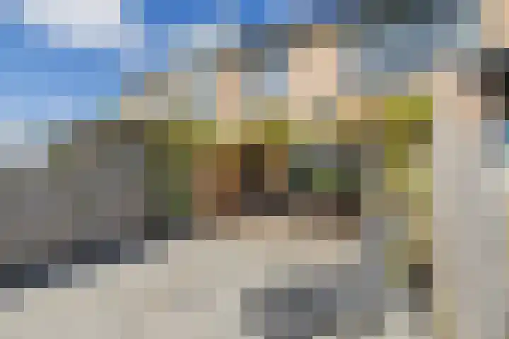Ter Beek 6 Lisse thumbnail 21