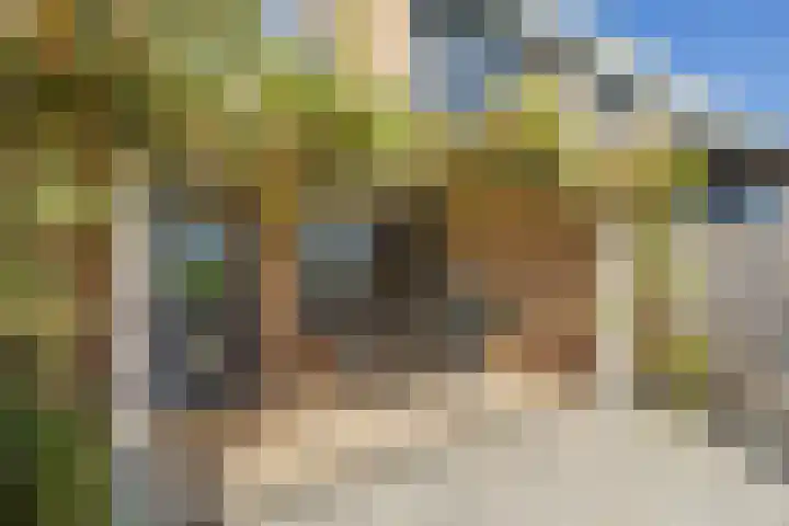 Ter Beek 6 Lisse thumbnail 22