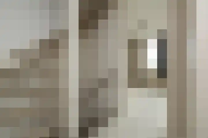 Ter Beek 6 Lisse thumbnail 24