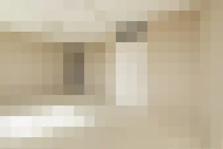 Ter Beek 6 Lisse thumbnail 27