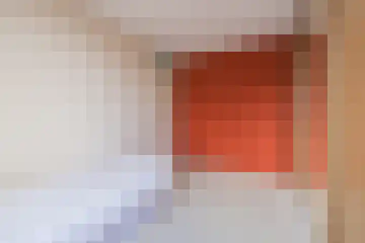 Ter Beek 6 Lisse thumbnail 35