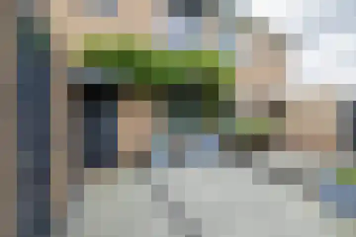 Ter Beek 6 Lisse thumbnail 4