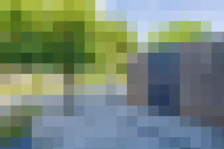 Ter Beek 6 Lisse thumbnail 45