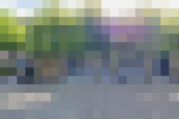 Ter Beek 6 Lisse thumbnail 46