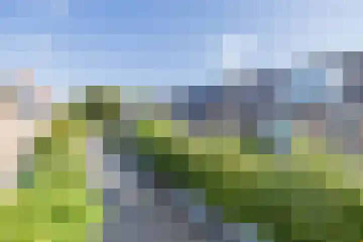 Ter Beek 6 Lisse thumbnail 48