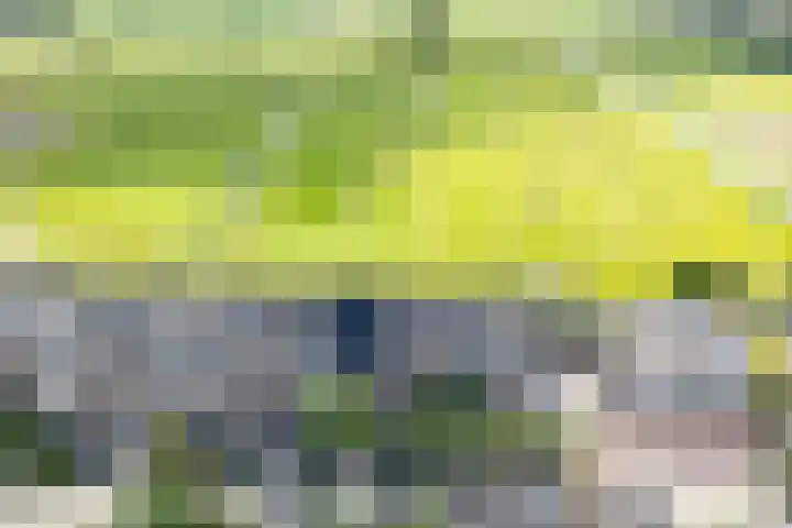 Ter Beek 6 Lisse thumbnail 49