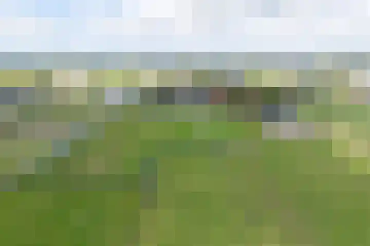 Ter Beek 6 Lisse thumbnail 52