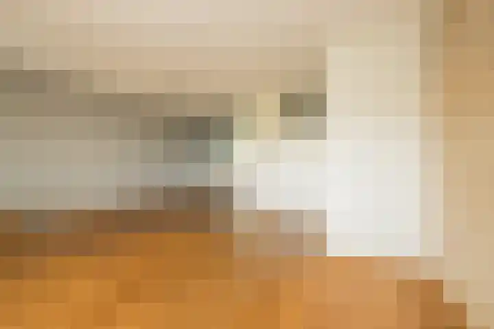 Ter Beek 6 Lisse thumbnail 6