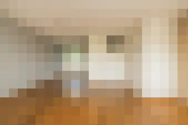 Ter Beek 6 Lisse thumbnail 8