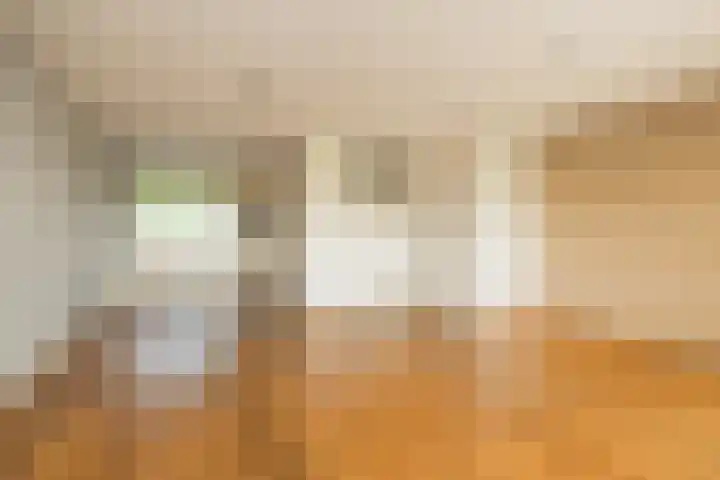 Ter Beek 6 Lisse thumbnail 9