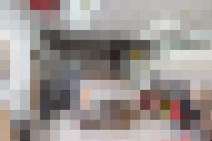 ter Borghstraat 105 Geldrop thumbnail 31