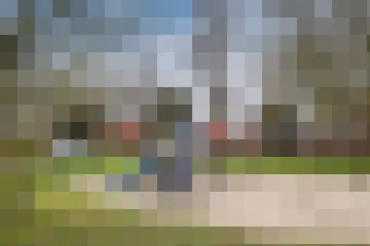 ter Borghstraat 105 Geldrop thumbnail 35