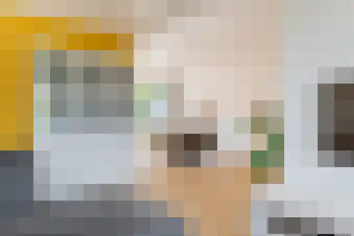 Ter Borghstraat 15 Sleen thumbnail 13