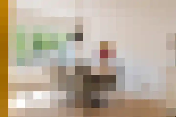 Ter Borghstraat 15 Sleen thumbnail 17