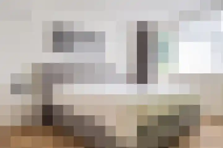 Ter Borghstraat 15 Sleen thumbnail 33