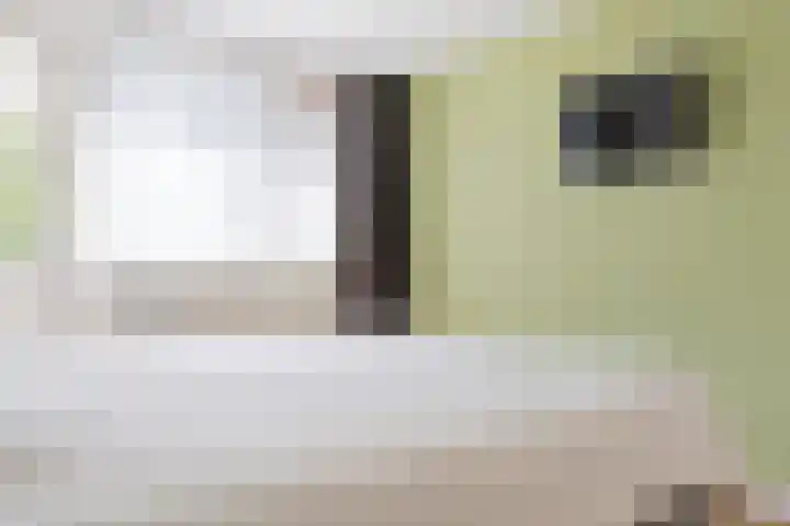 Ter Borghstraat 15 Sleen thumbnail 34