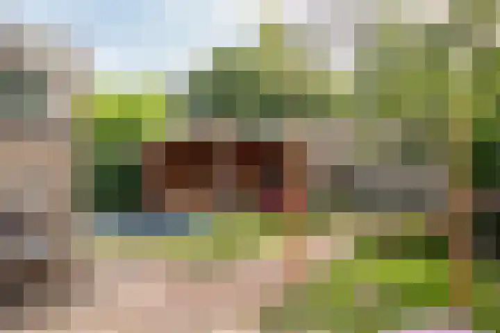 Ter Borghstraat 15 Sleen thumbnail 52