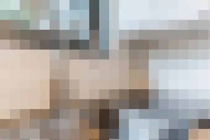 ter Borghstraat 23 Geldrop thumbnail 15
