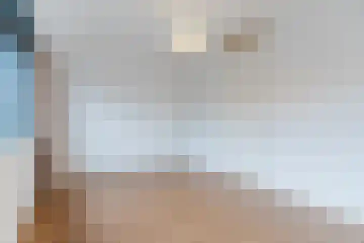 ter Borghstraat 23 Geldrop thumbnail 19