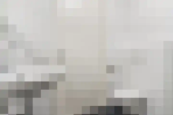 ter Borghstraat 23 Geldrop thumbnail 25