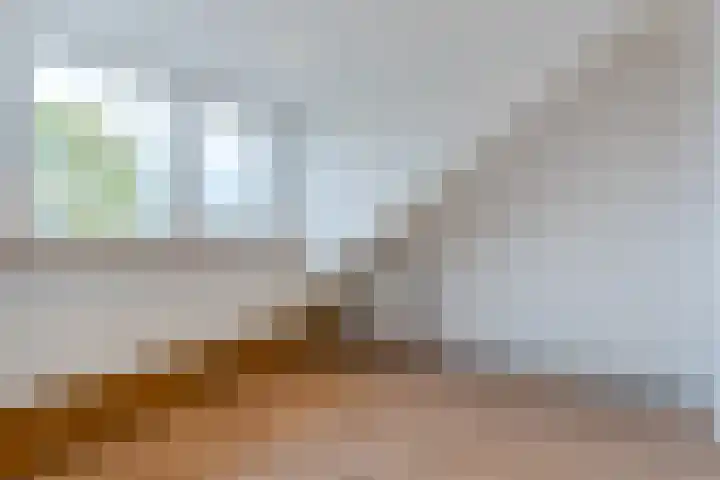 ter Borghstraat 23 Geldrop thumbnail 31