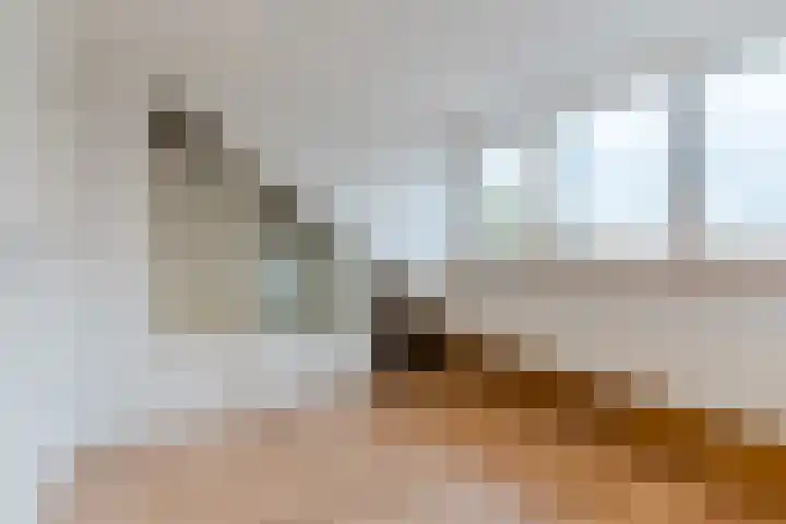 ter Borghstraat 23 Geldrop thumbnail 33
