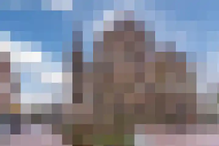 ter Borghstraat 23 Geldrop thumbnail 48