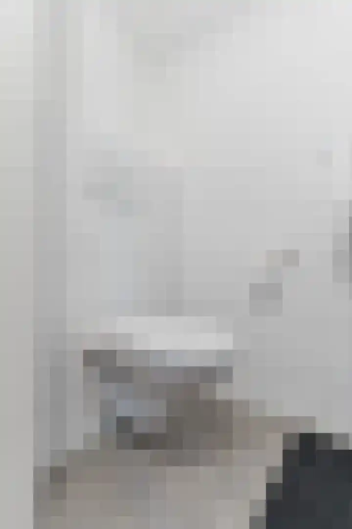 ter Borghstraat 23 Geldrop thumbnail 5