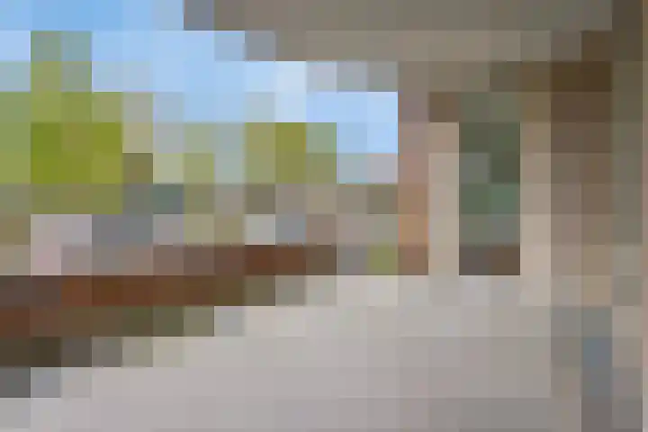 ter Eik 1 Veldhoven thumbnail 11