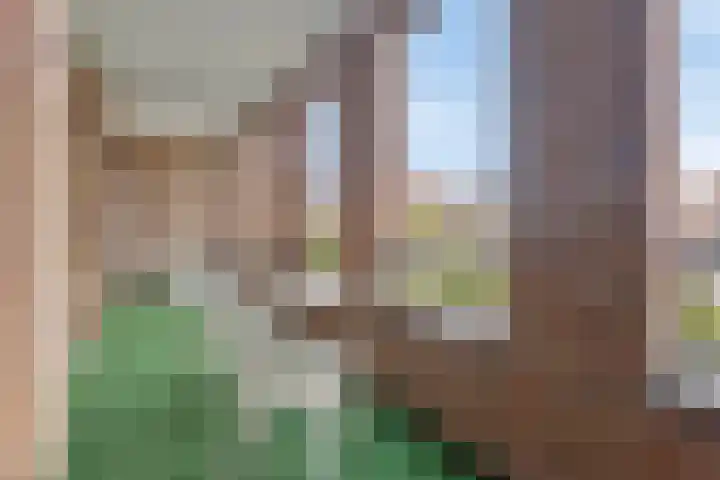 ter Eik 1 Veldhoven thumbnail 12
