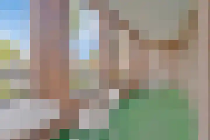 ter Eik 1 Veldhoven thumbnail 13