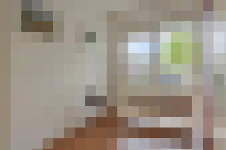 ter Eik 1 Veldhoven thumbnail 22