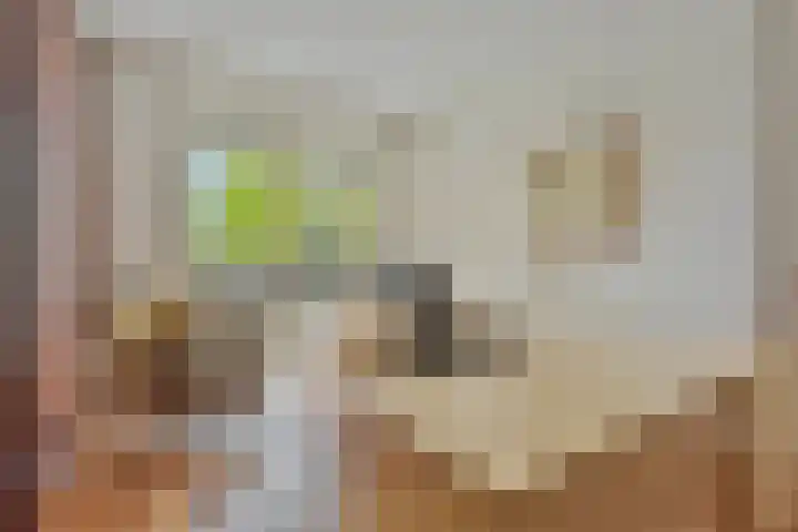 ter Eik 1 Veldhoven thumbnail 24