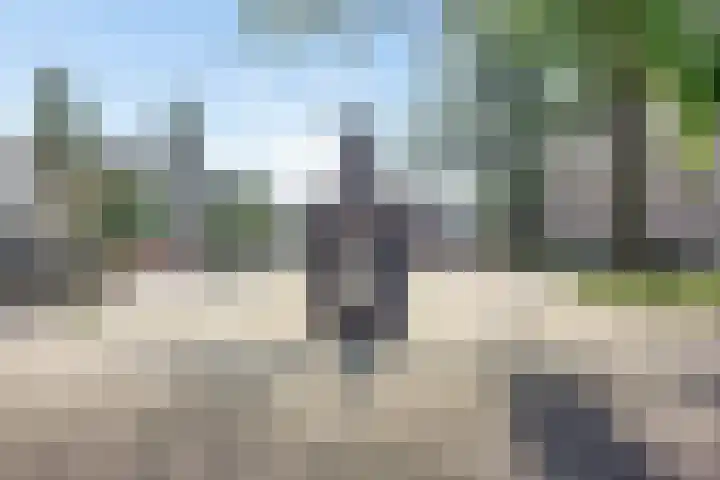 ter Heerdtspad 2 B Vaassen thumbnail 31