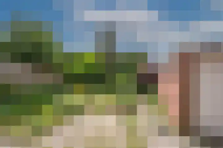 Ter Kuilestraat 9 Borne thumbnail 21
