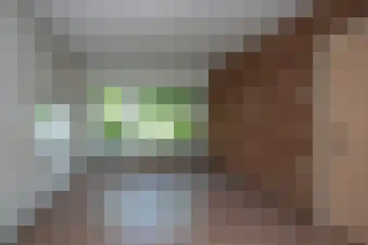 Ter Kuilestraat 9 Borne thumbnail 8