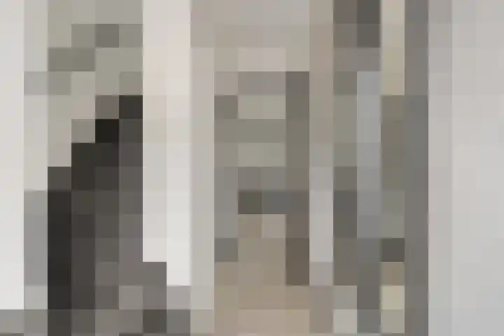 ter Laakstraat 11 Didam thumbnail 10