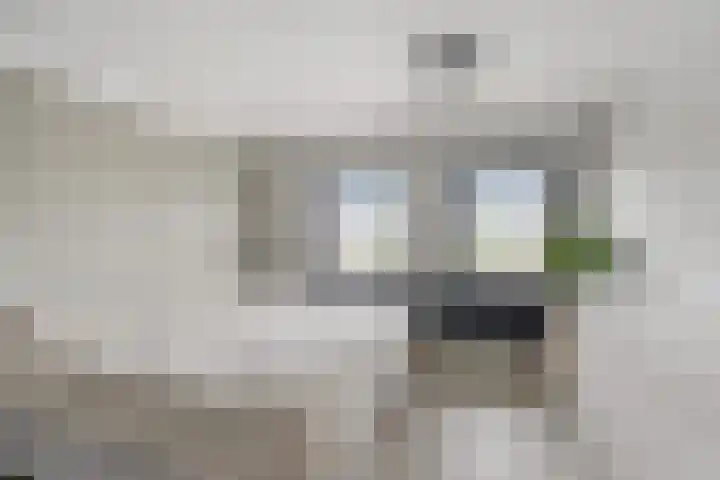 ter Laakstraat 11 Didam thumbnail 12