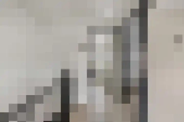ter Laakstraat 11 Didam thumbnail 17