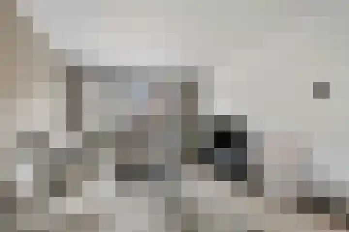 ter Laakstraat 11 Didam thumbnail 4
