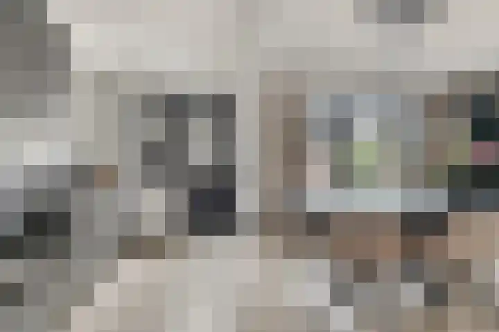 ter Laakstraat 11 Didam thumbnail 7