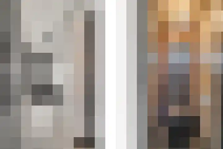 ter Laakstraat 11 Didam thumbnail 9