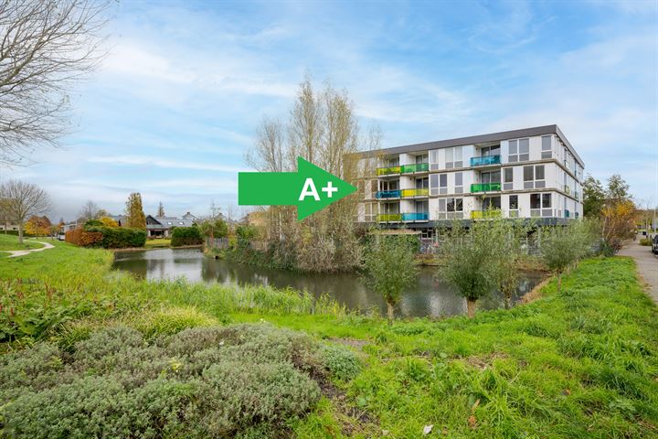 Ter Lips 15 in Voorschoten foto