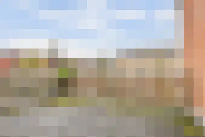 Terborch 18 Monster thumbnail 11